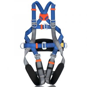 Full Body Harness